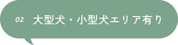 ドリンクが入ったペットボトルの写真