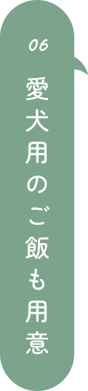 ドリンクが入ったペットボトルの写真